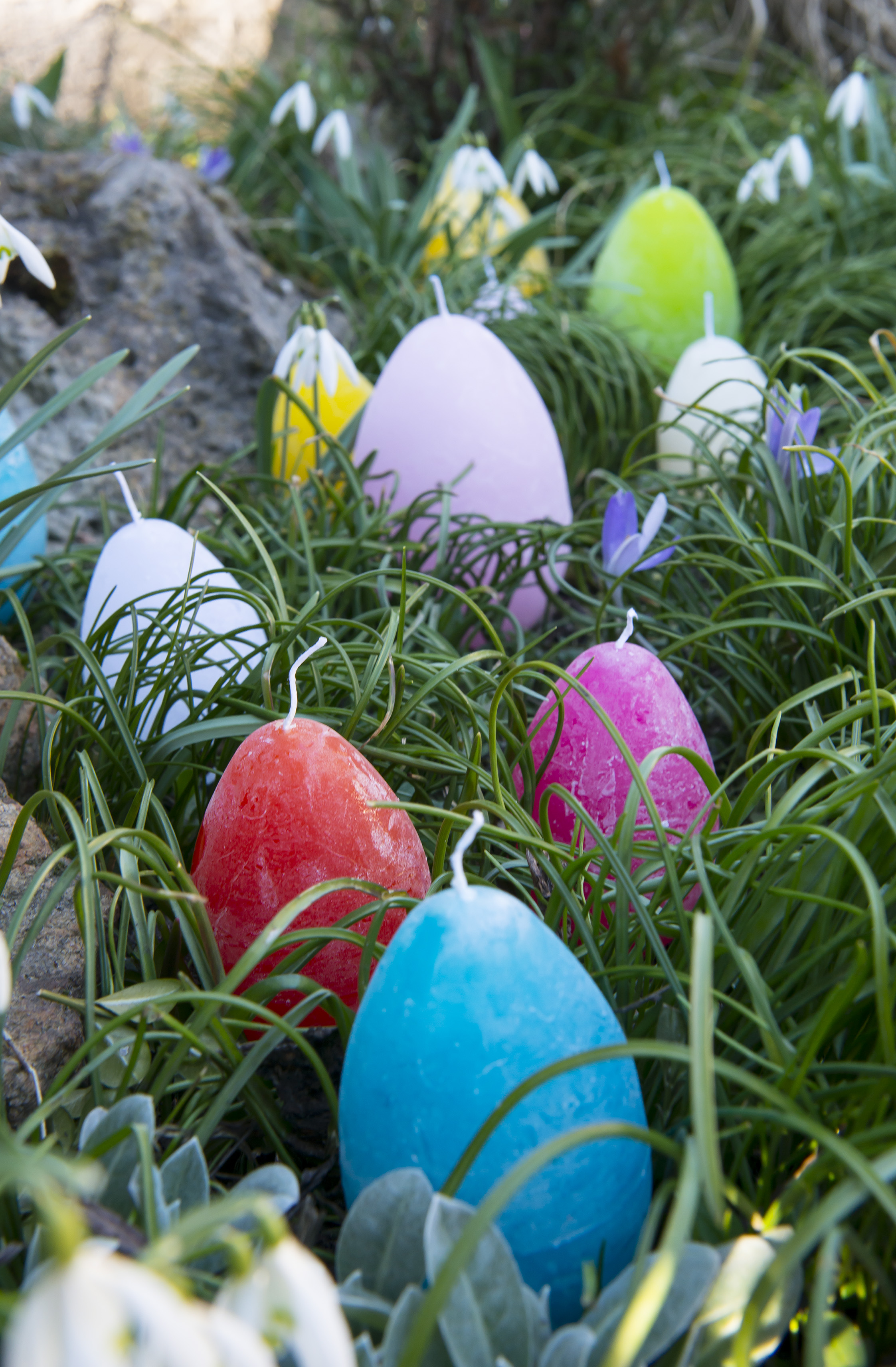 Eier_Hintergrund